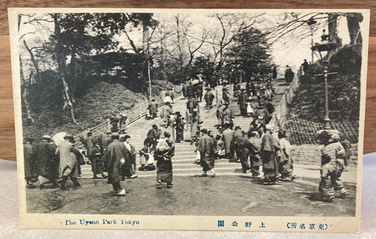 Vintage Japanese Postcard - The Uyeno Park, Tokyo