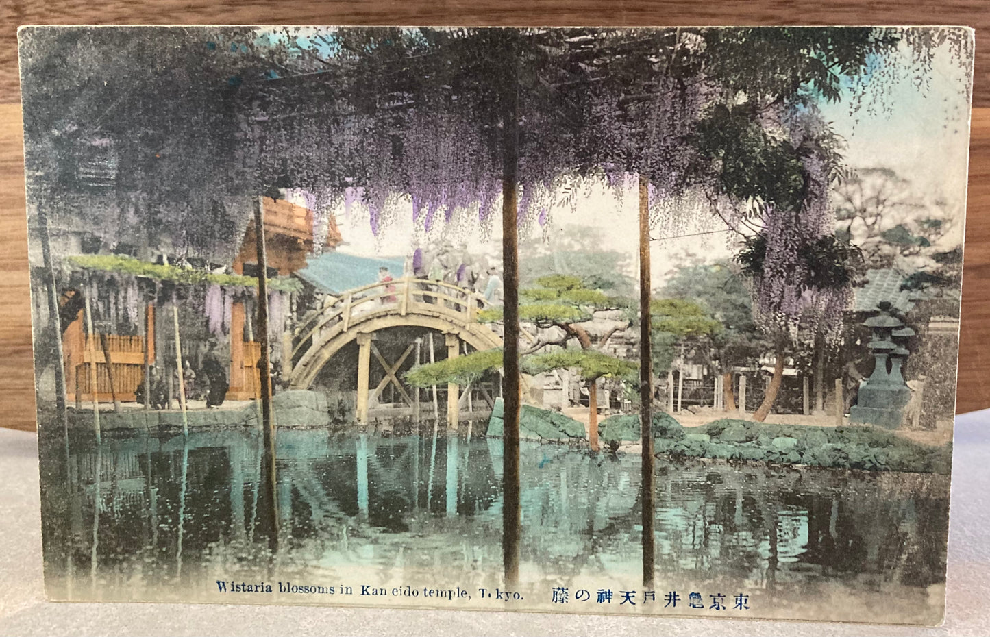 Vintage Japanese Postcard - Wisteria Blossoms in Kameido Temple, Tokyo