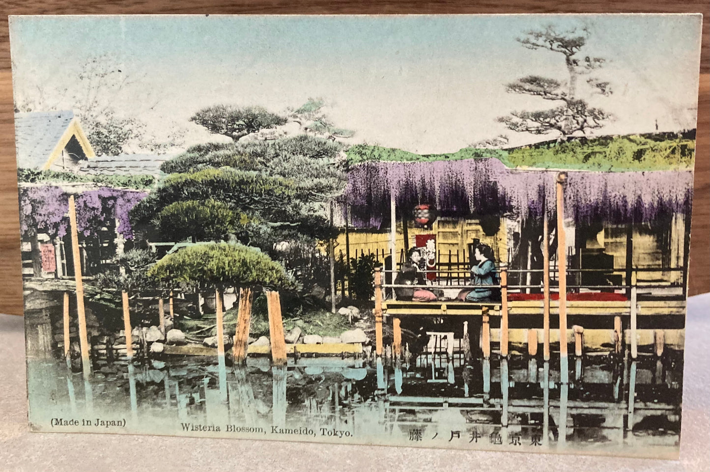 Vintage Japanese Postcard - Wisteria Blossom, Kameido, Tokyo