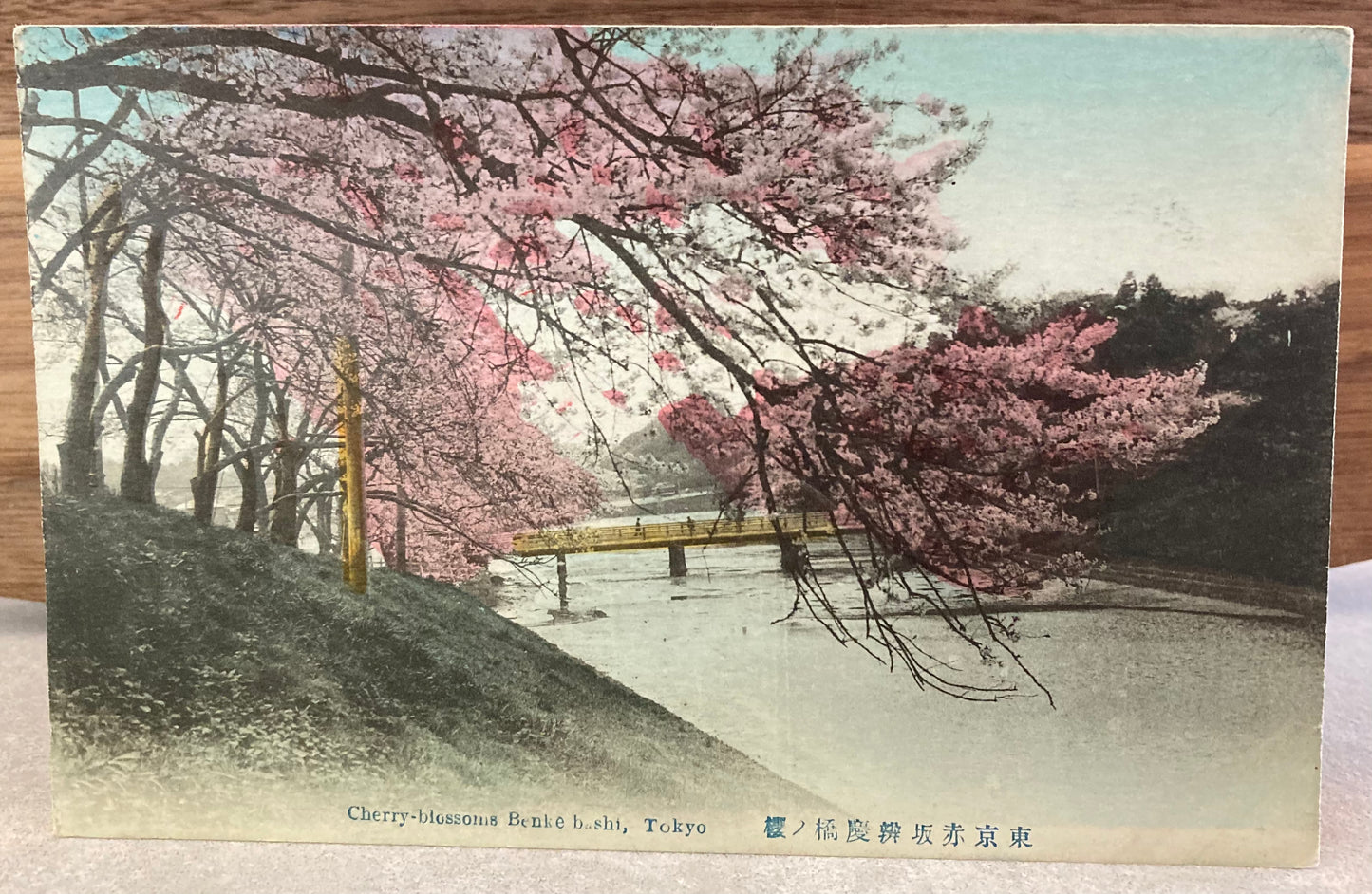 Vintage Japanese Postcard - Cherry-Blossoms Benke bashi, Tokyo