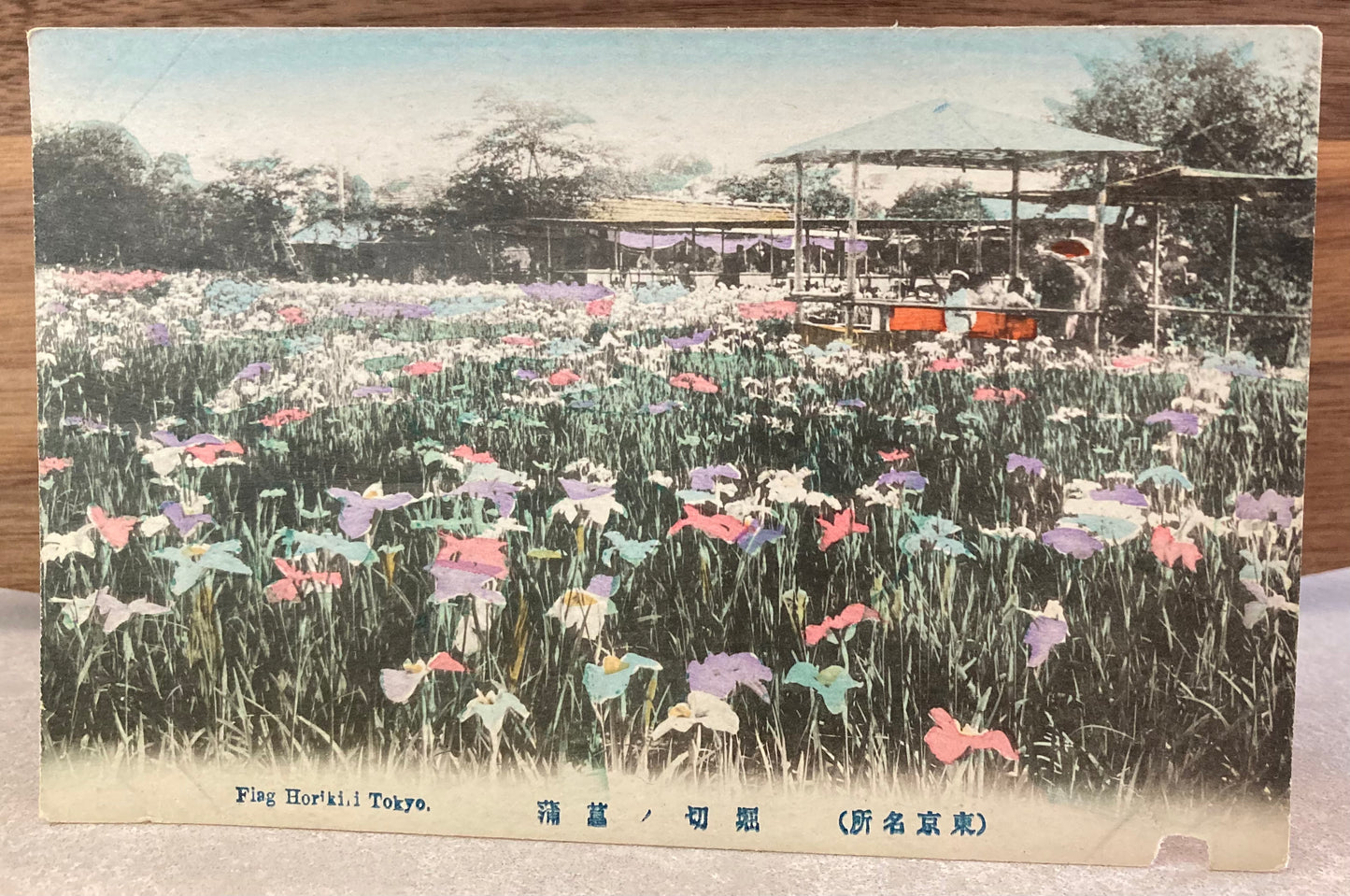 Vintage Japanese Postcard - Flag Horikiri, Tokyo