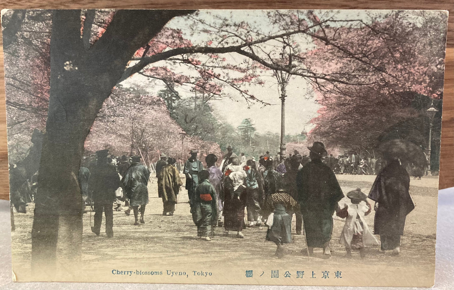 Vintage Japanese Postcard - Cherry-blossoms Uyeno, Tokyo