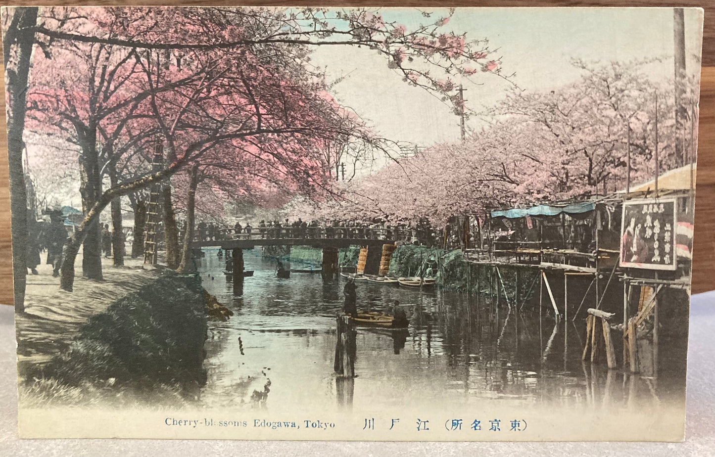 Vintage Japanese Postcard - Cherry Blossom Edogawa, Tokyo