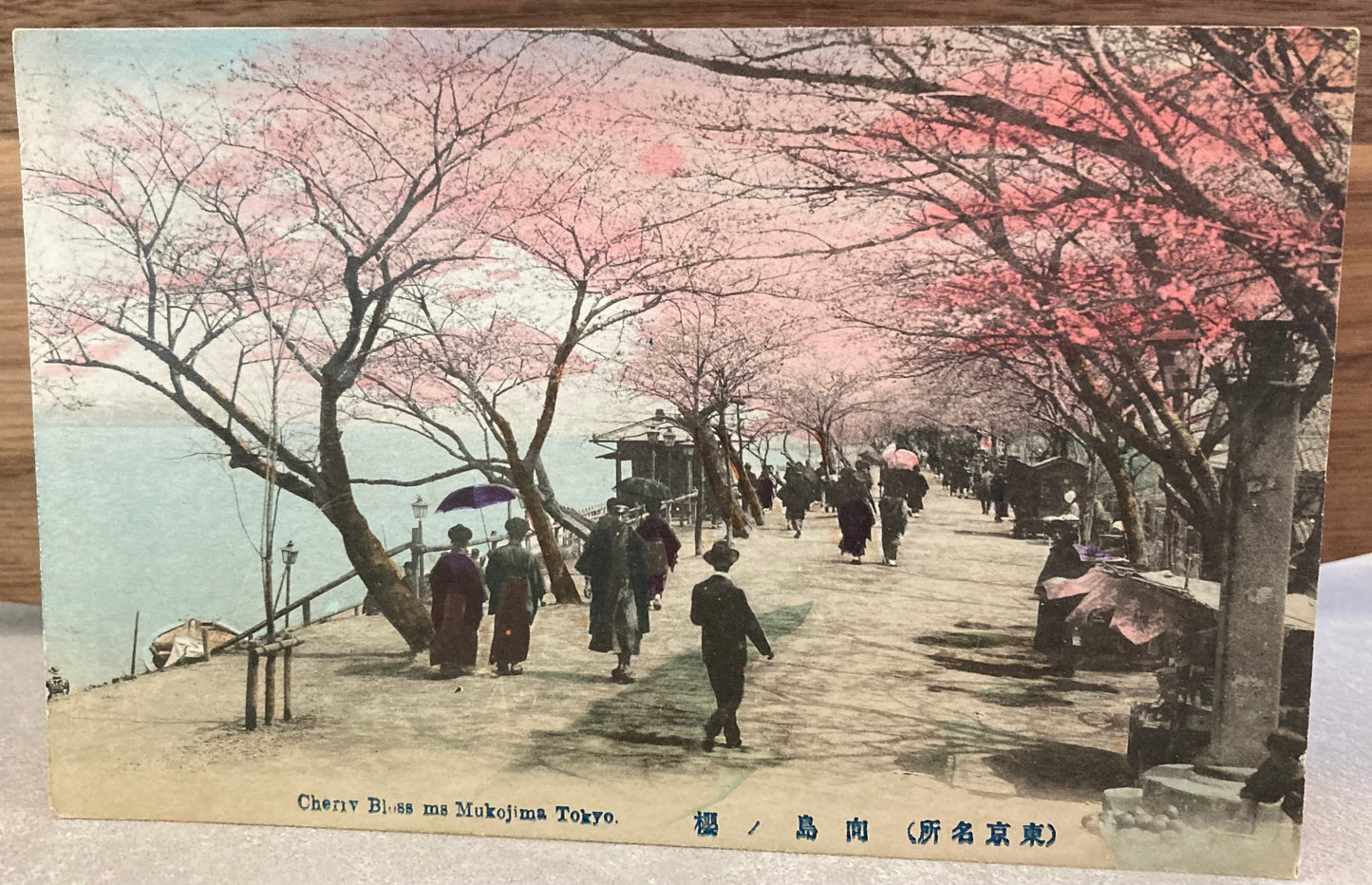 Vintage Japanese Postcard - Cherry Blossom at Mukojima Tokyo