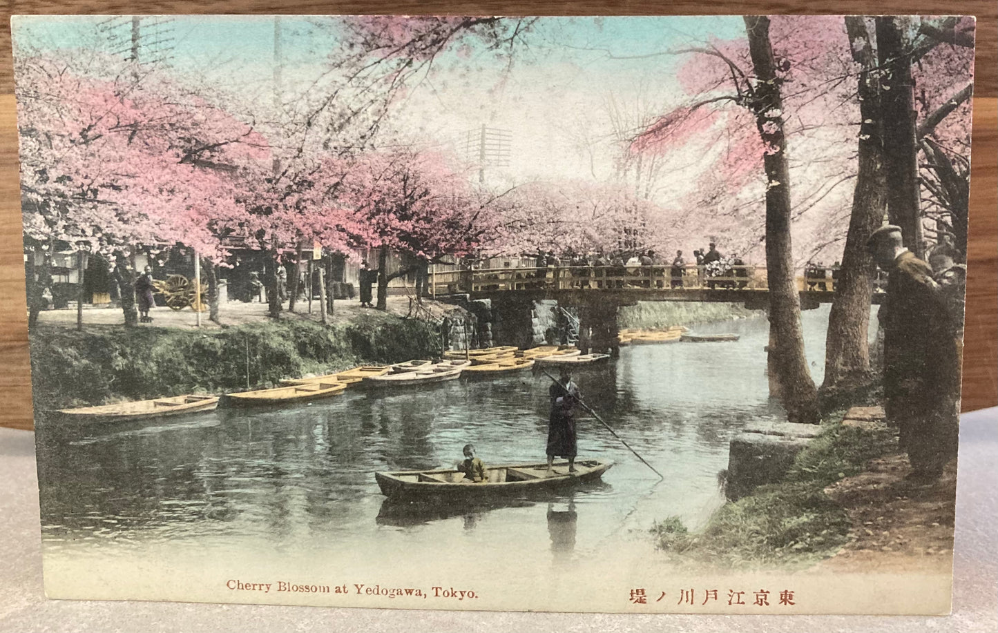 Vintage Japanese Postcard - Cherry Blossom at Yedogawa, Tokyo