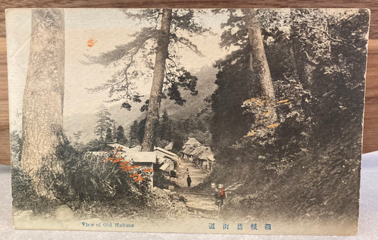 Vintage Japanese Postcard - View of Old Hakone