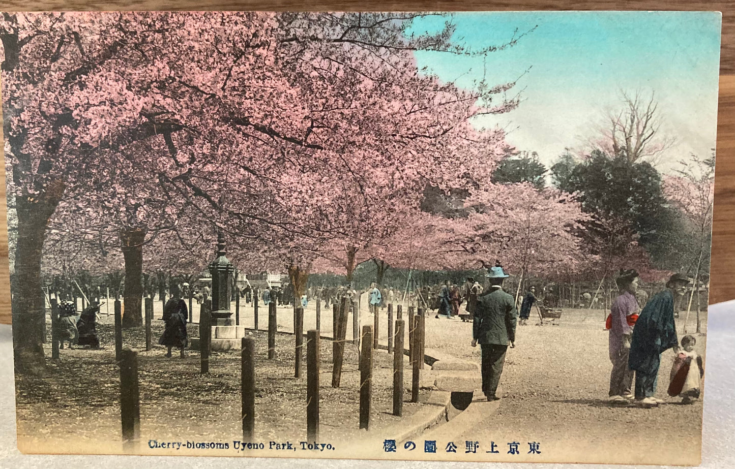 Vintage Japanese Postcard - Cherry-Blossom Uyeno Park, Tokyo