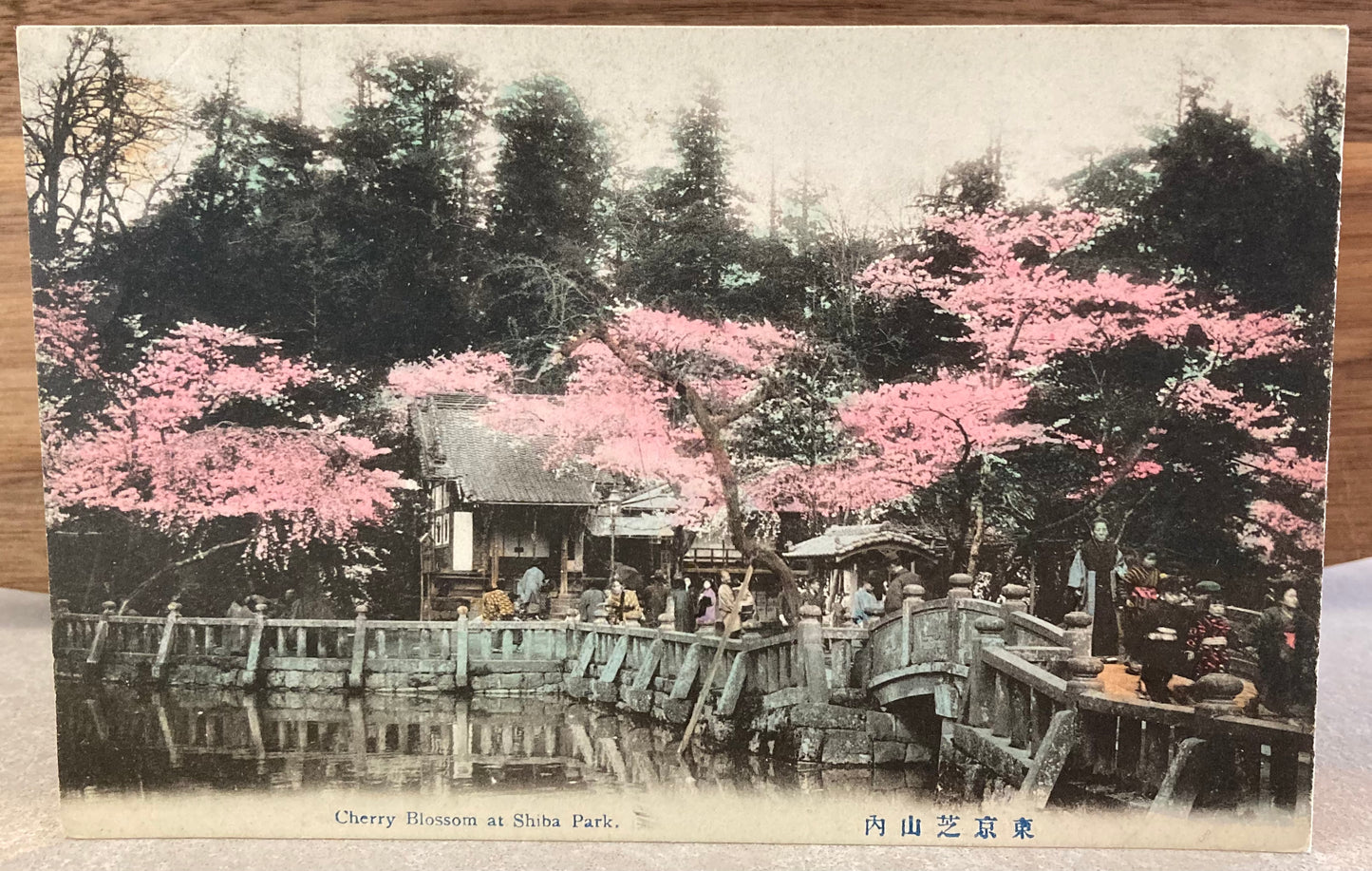 Vintage Japanese Postcard - Cherry Blossom at Shiba Park, Tokyo