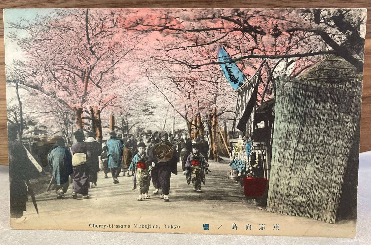 Vintage Japanese Postcard - Cherry Blossom Mukojima, Tokyo