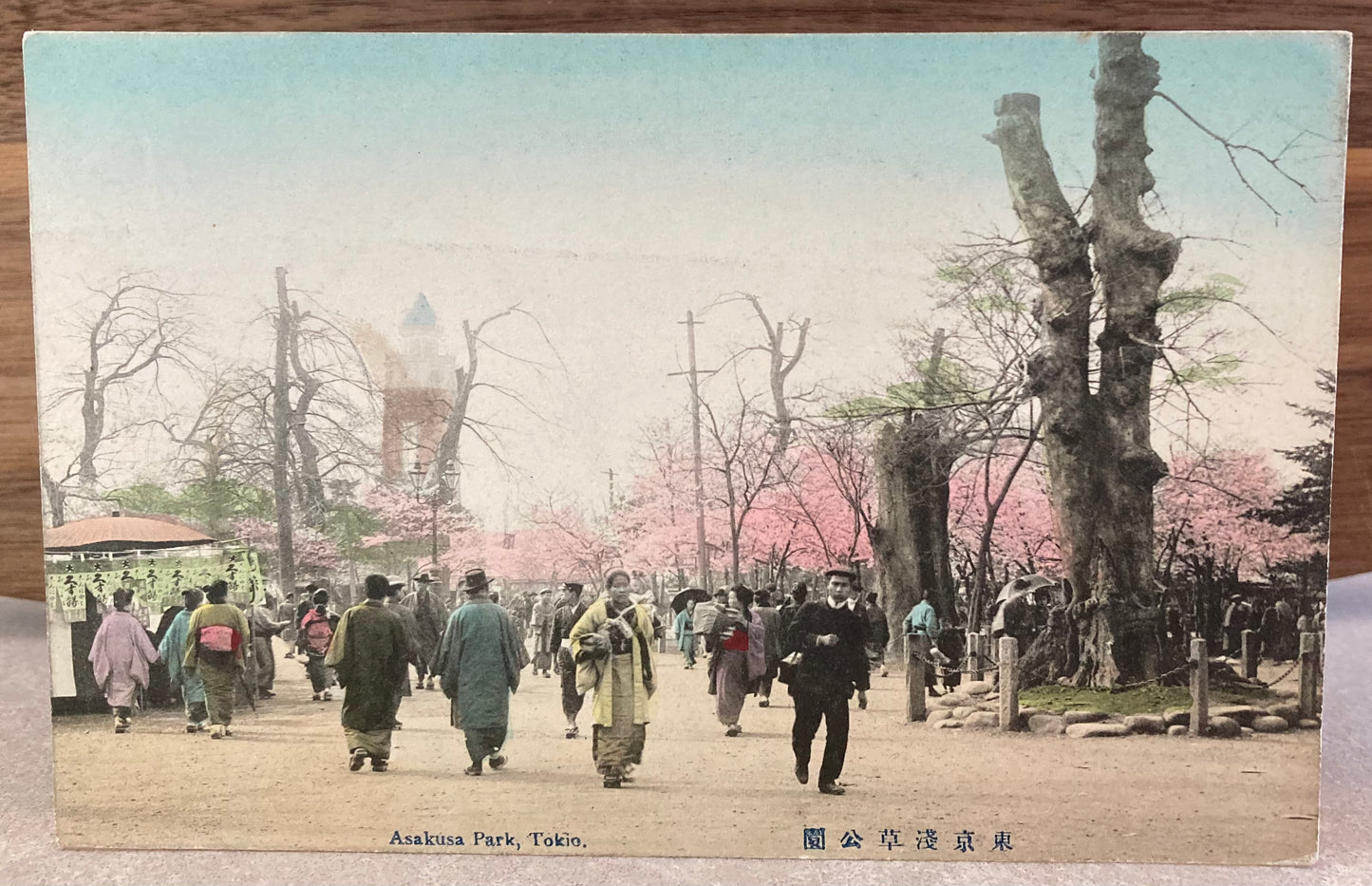 Vintage Japanese Postcard - Asakusa Park, Tokyo