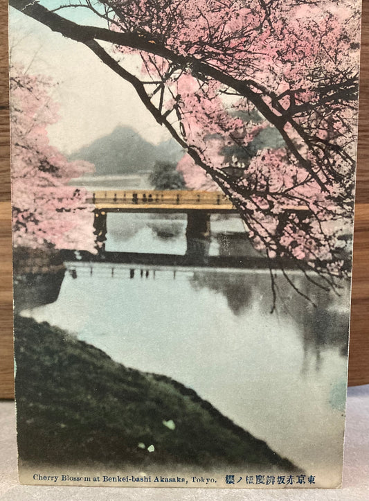 Vintage Japanese Postcard - Cherry Blossom at Benkei-Bashi Akasaka, Tokyo