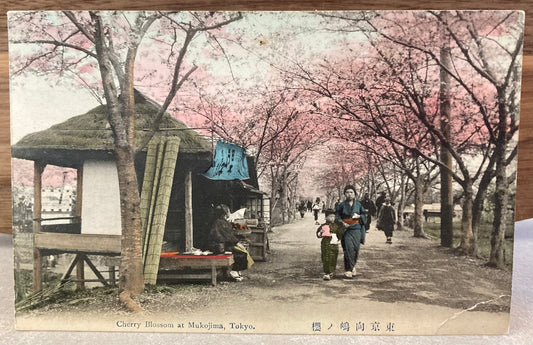 Vintage Japanese Postcard - Cherry Blossom at Mukojima, Tokyo