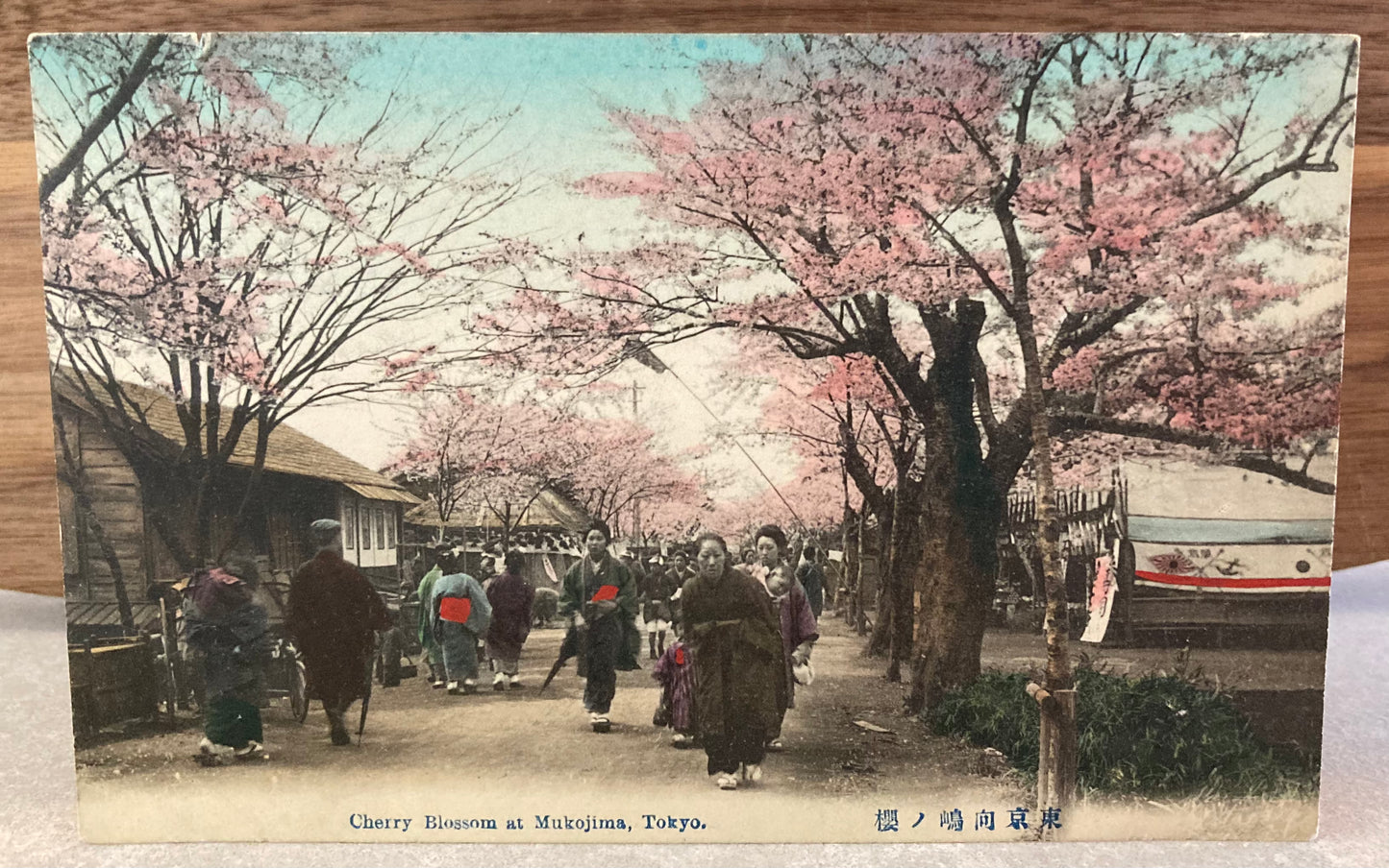 Vintage Japanese Postcard - Cherry Blossom at Mukojima, Tokyo