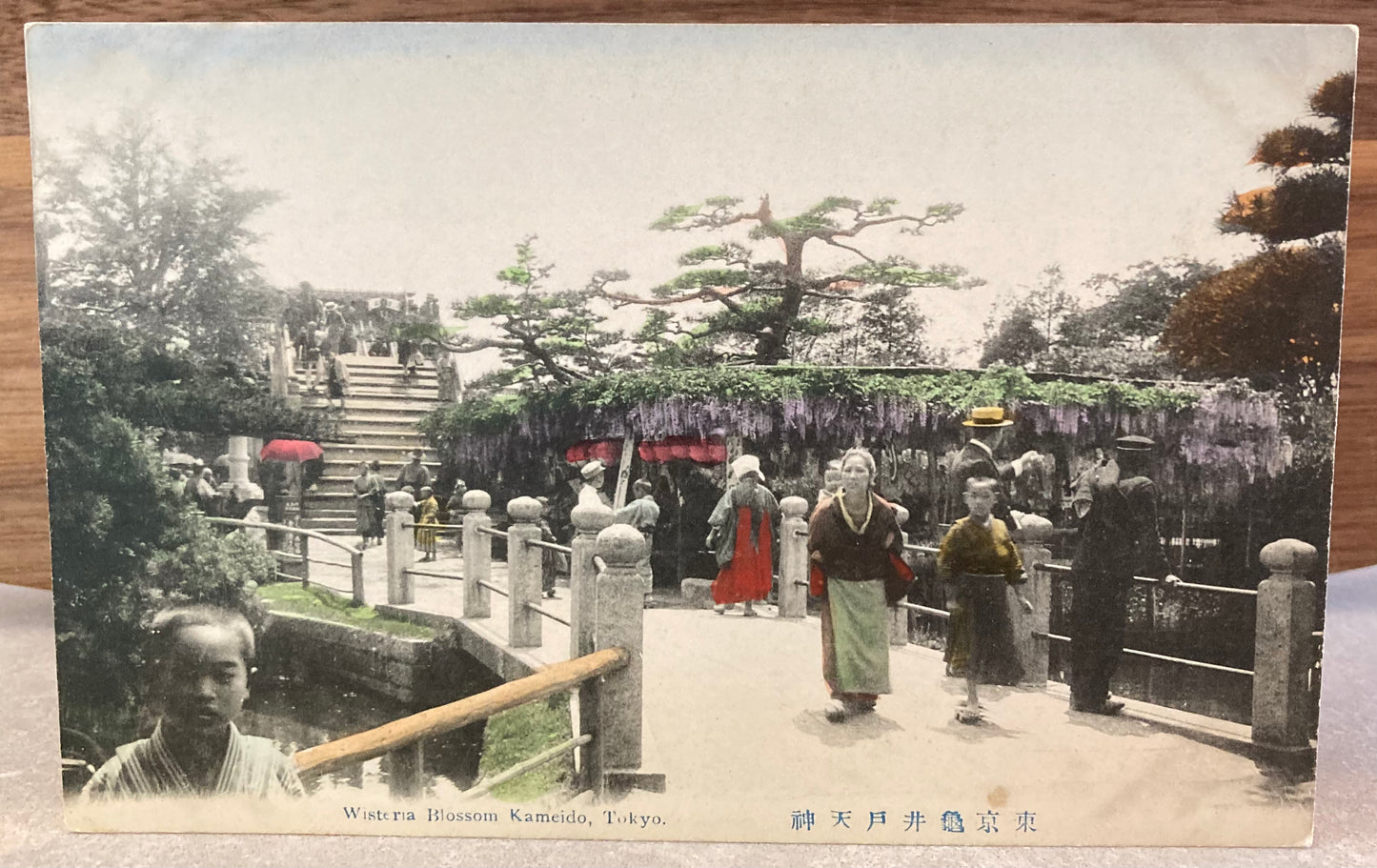 Vintage Japanese Postcard - Wisteria Blossom Kameido, Tokyo